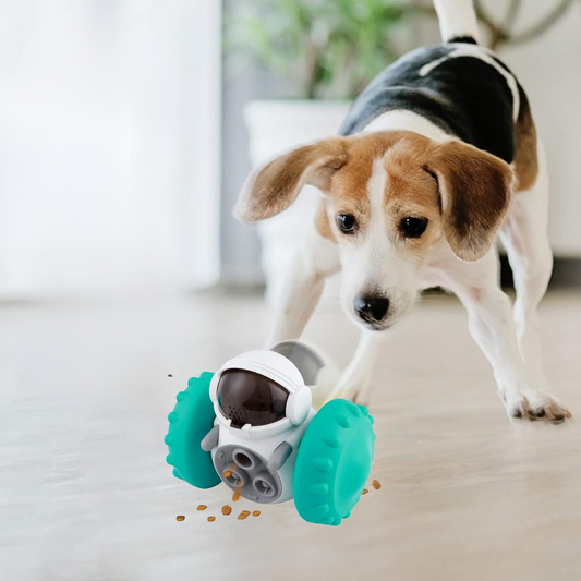 Interactive Dog Toy