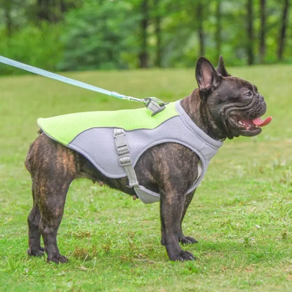 Summer Dog Cooling Vest