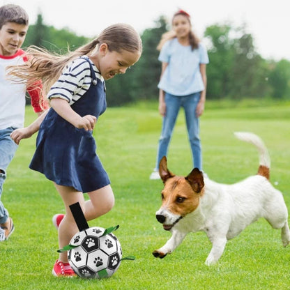 Interactive Dog Toy Ball