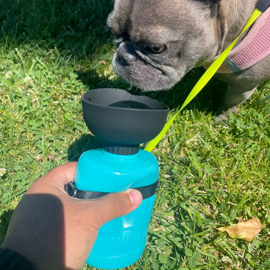 Portable Foldable Dog Water Bottle