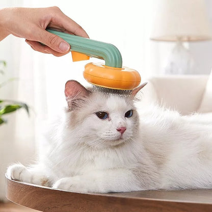 Self-Cleaning Pumpkin Pet Brush