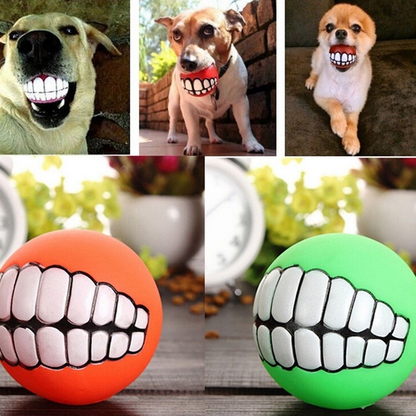 Durable Chewy Pet Ball