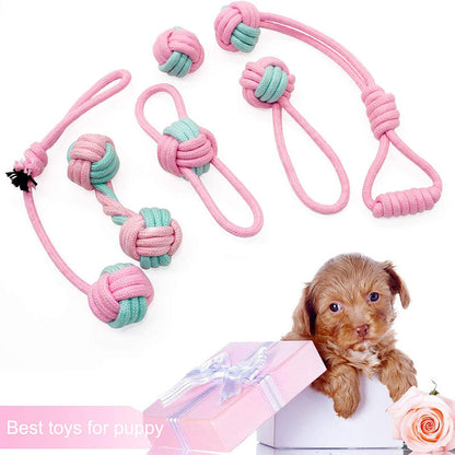 Pet Chew Toys