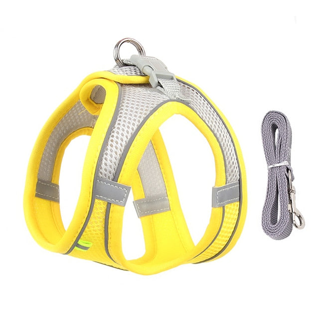 Dog Harness and Leash Set