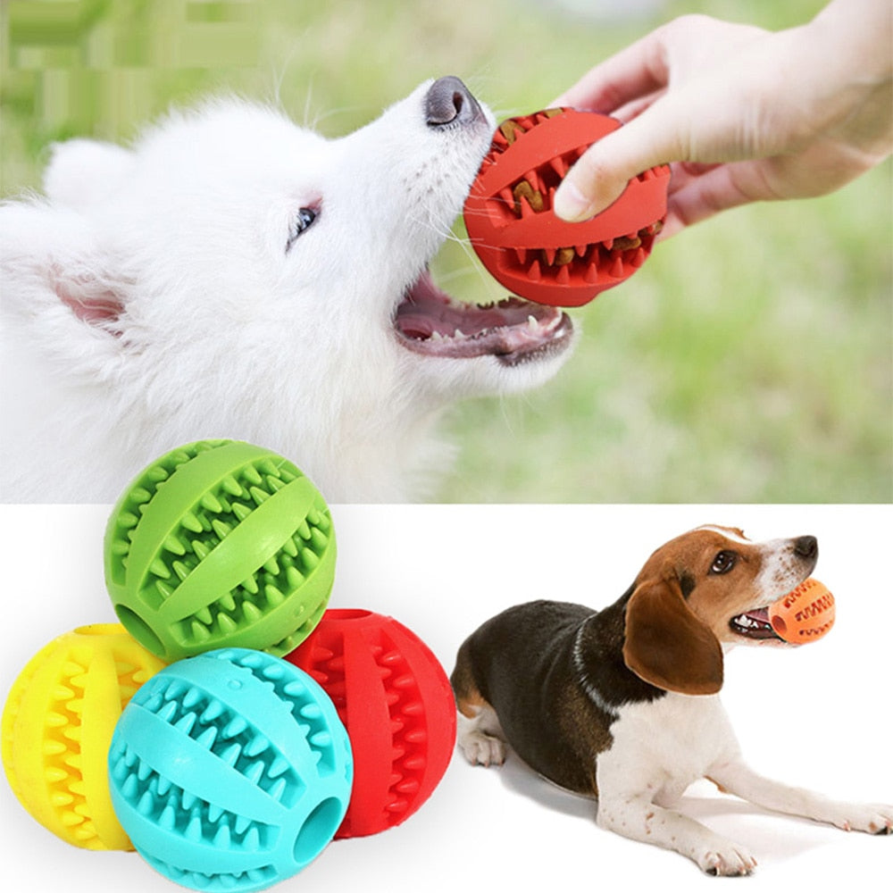 Pet Rubber Chew Toys