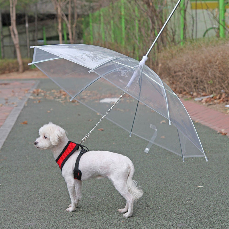 Keep Your Pet Dry and Happy with Our Umbrella Leash