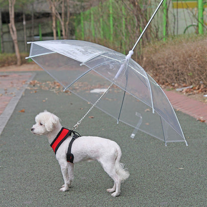 Keep Your Pet Dry and Happy with Our Umbrella Leash