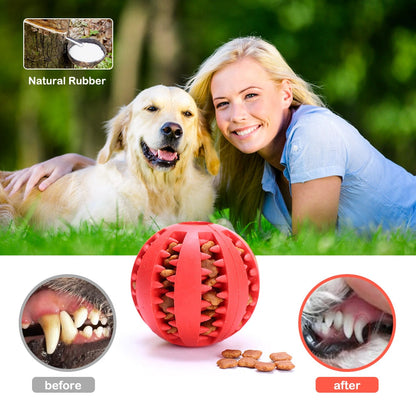 Pet Rubber Chew Toys