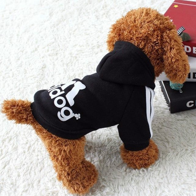 Cotton Dog Sweatshirt