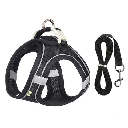 Dog Harness and Leash Set