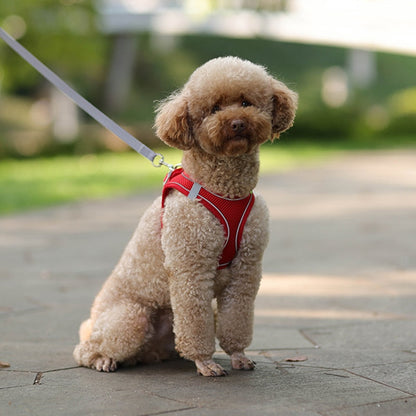 Dog Harness and Leash Set