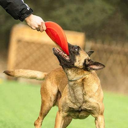 Durable Chew Tennis Ball Toy