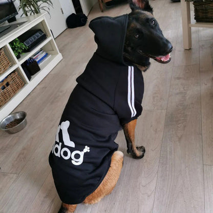 Cotton Dog Sweatshirt