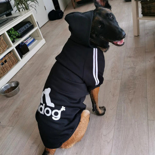 Cotton Dog Sweatshirt