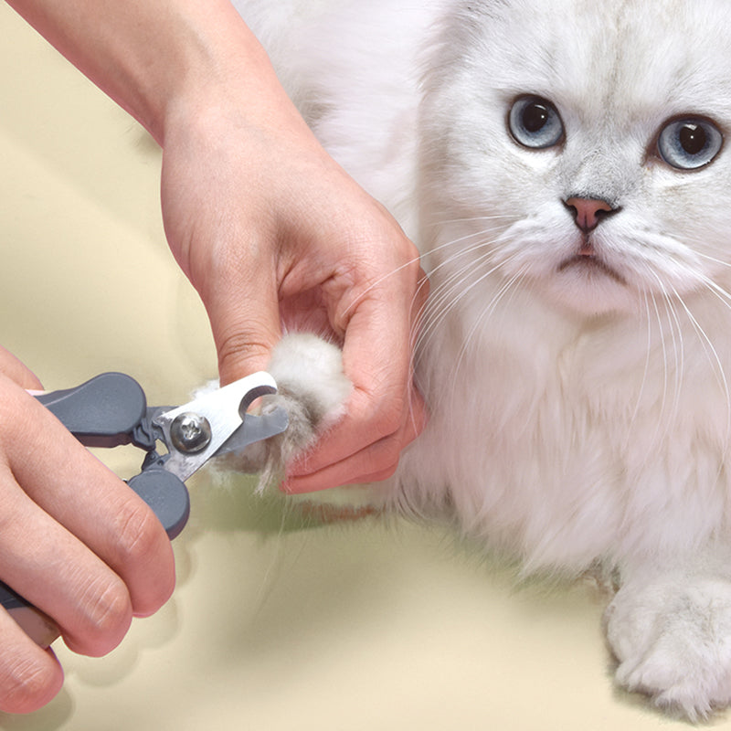 Cat Nail Clippers