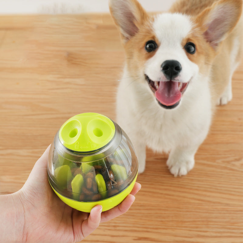 Dog Treat Dispensing Ball