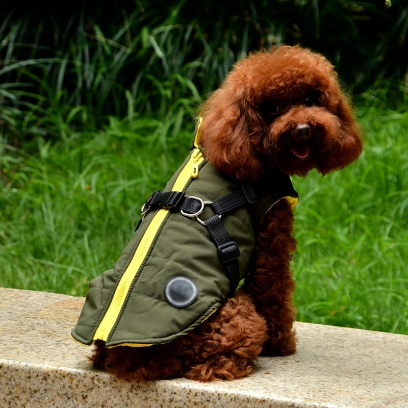 Waterproof Pet Coat With Harness