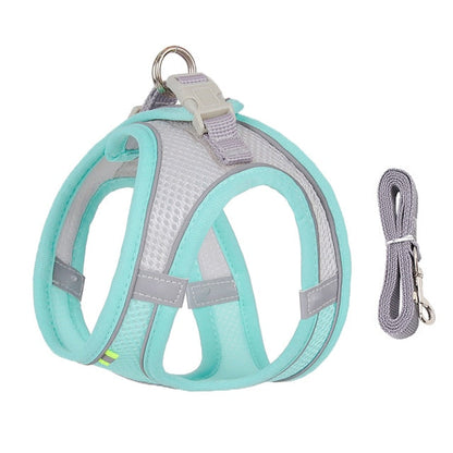 Dog Harness and Leash Set