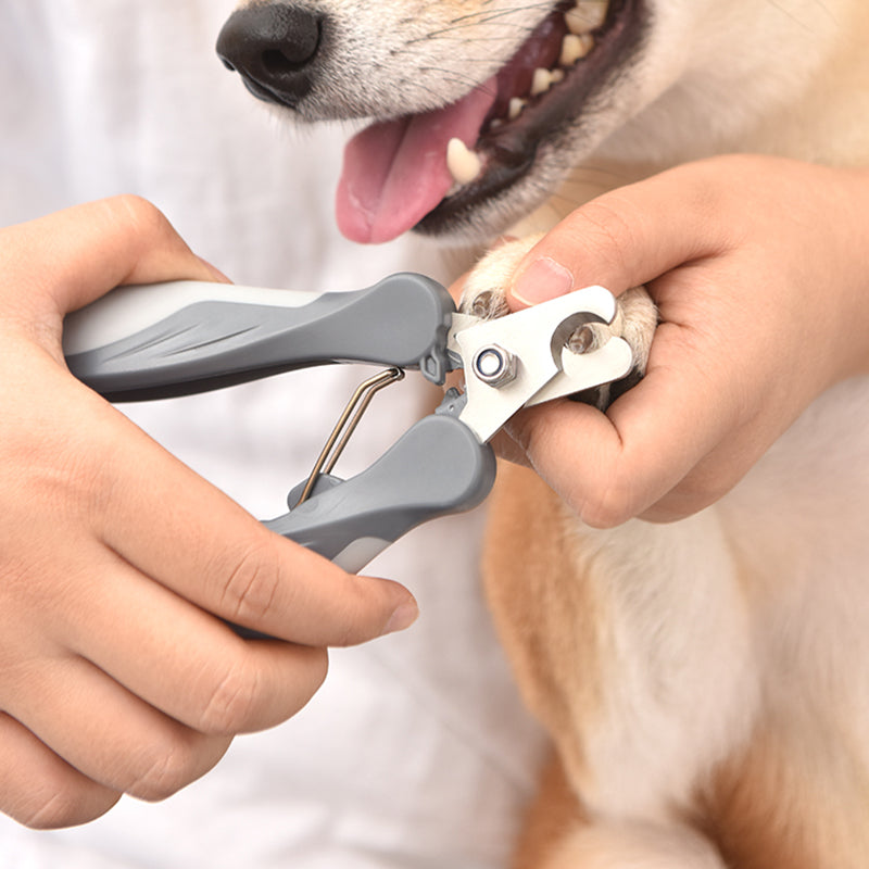 Cat Nail Clippers