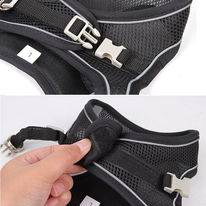 Dog Harness and Leash Set