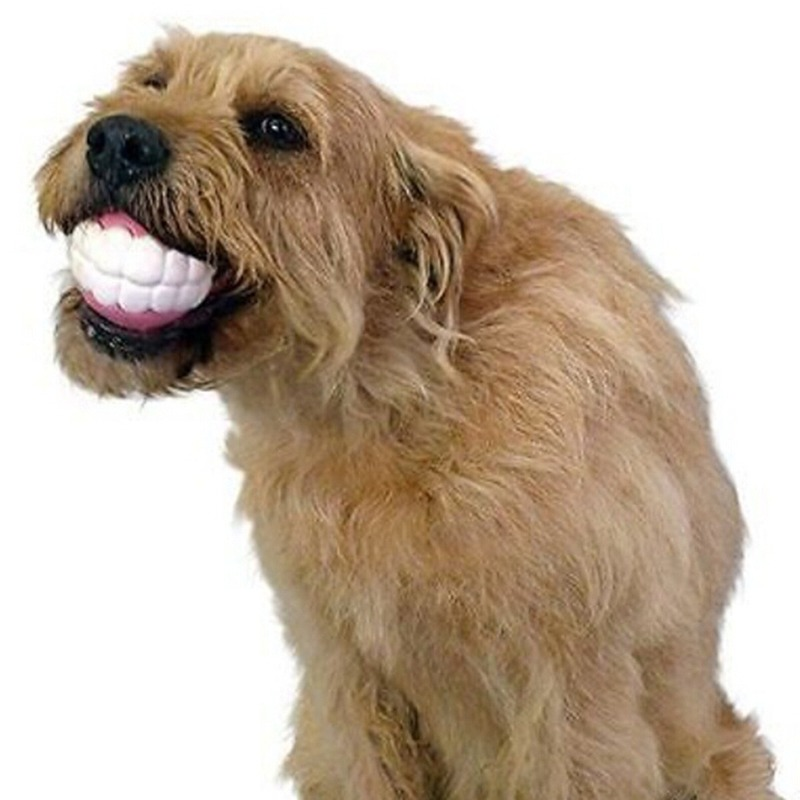 Durable Chewy Pet Ball