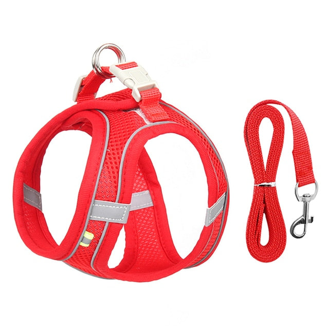 Dog Harness and Leash Set