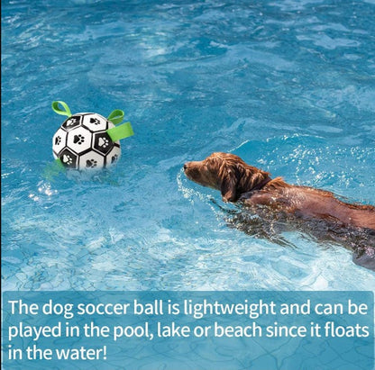 Interactive Dog Toy Ball