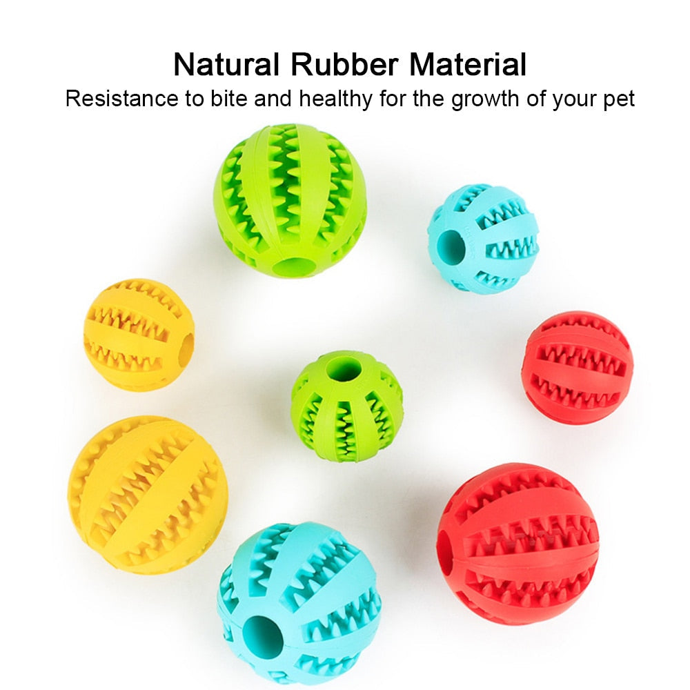 Pet Rubber Chew Toys