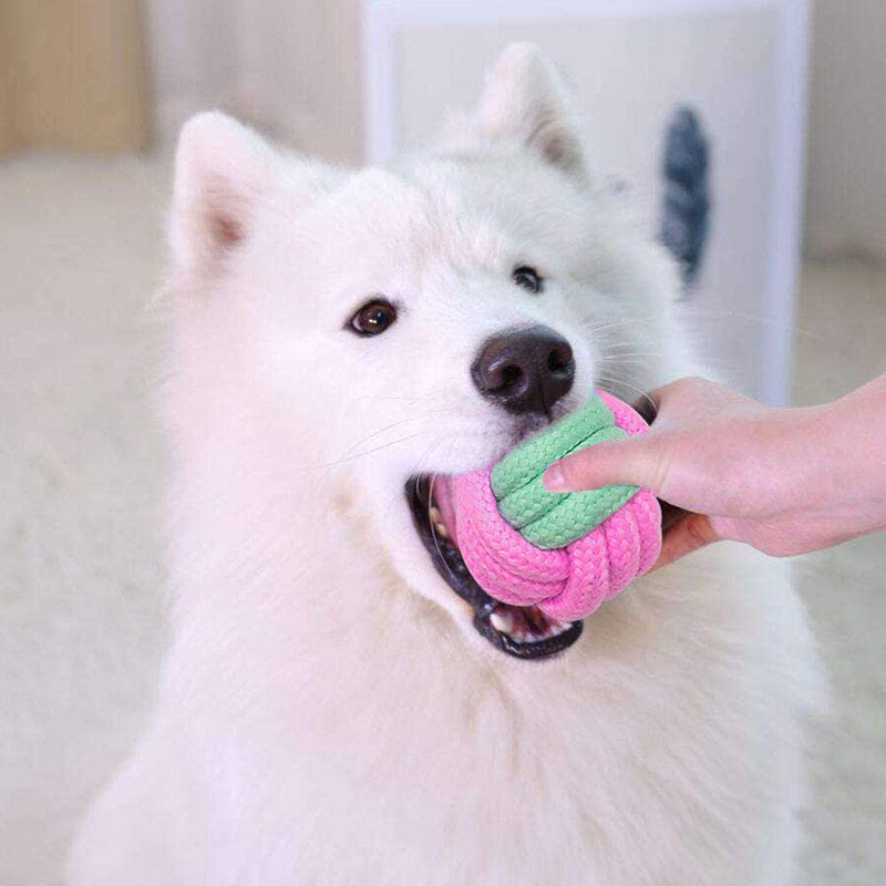 Pet Chew Toys