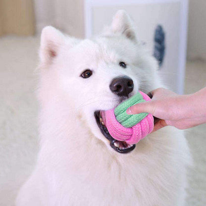 Pet Chew Toys