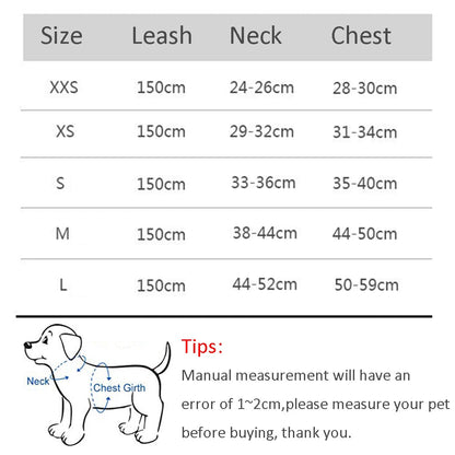 Dog Harness and Leash Set